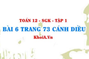 Bài 6 trang 73 Toán 12 tập 1 Cánh Diều